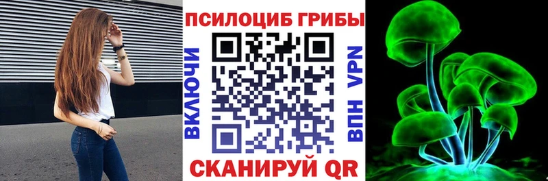 Купить  Вилючинск  Псилоцибиновые грибы Cubensis 